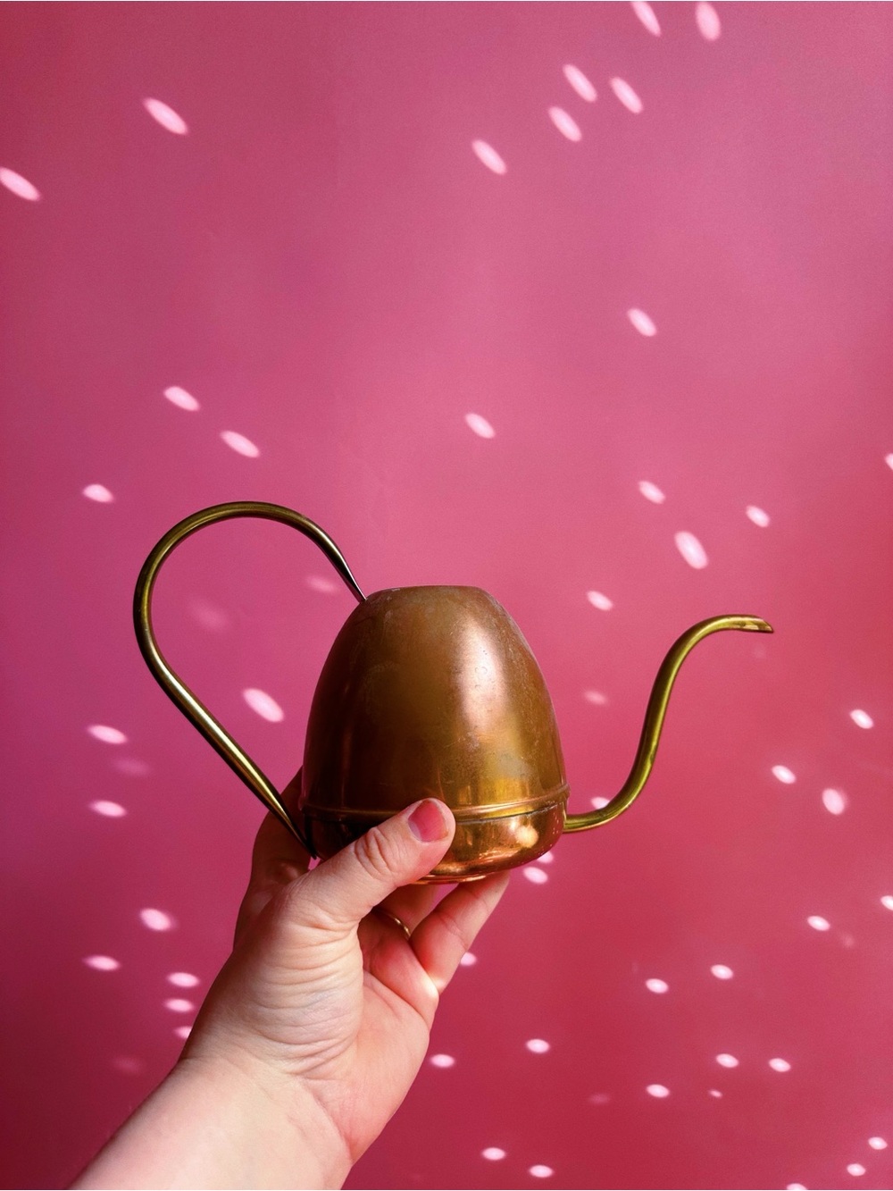 Vintage Copper & Brass Long-Spout Watering Pot - Warm Finish